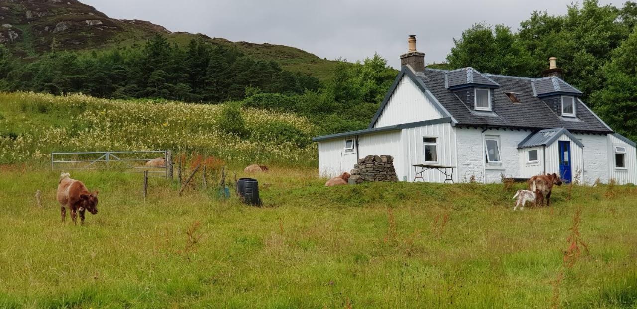 Isle Of Carna, Secluded Scottish Island, Loch Sunart Villa Acharacle Buitenkant foto