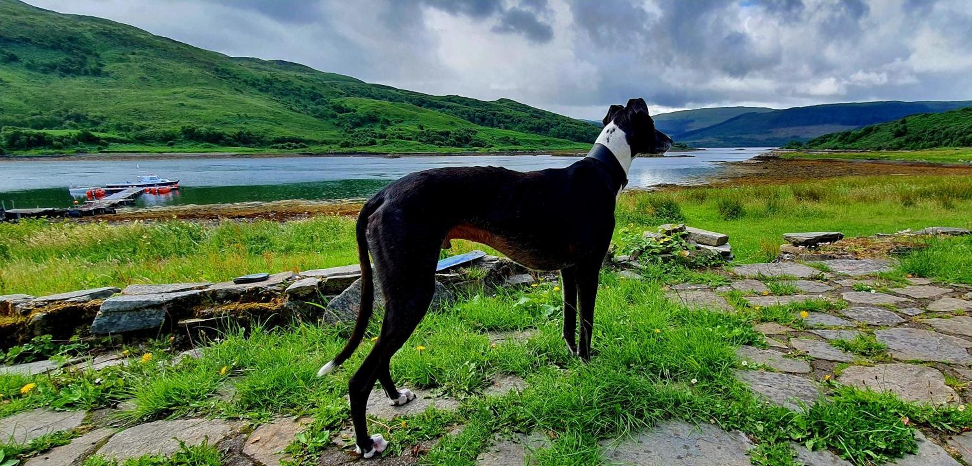 Isle Of Carna, Secluded Scottish Island, Loch Sunart Villa Acharacle Buitenkant foto